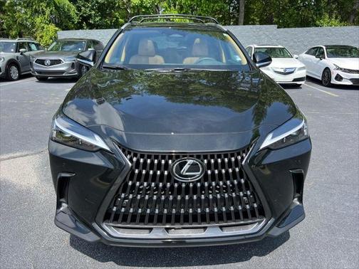 2025 Lexus NX 350 Premium