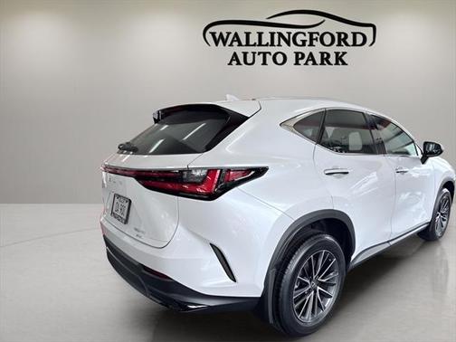 2024 Lexus NX 250 Base
