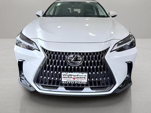 2024 Lexus NX 250 Base