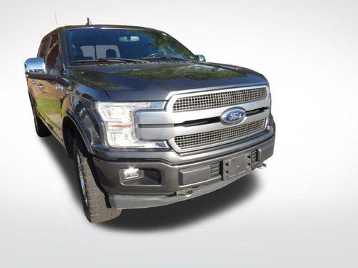 Magnetic 2018 Ford F-150 Platinum