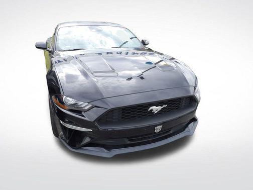 Shadow Black 2023 Ford Mustang EcoBoost