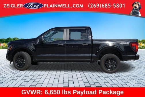 Black 2024 Ford F-150 STX