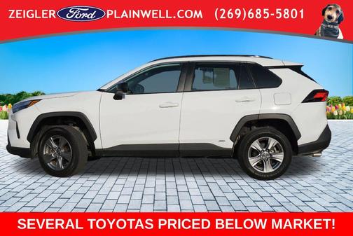 Ice 2024 Toyota RAV4 Hybrid LE