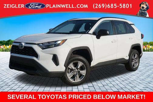 Ice 2024 Toyota RAV4 Hybrid LE