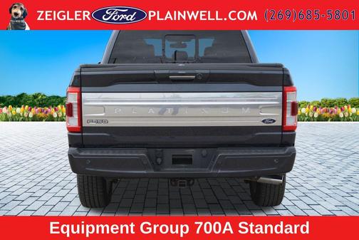 Smoked Quartz Metallic Tinted Clearcoat 2021 Ford F-150 Platinum