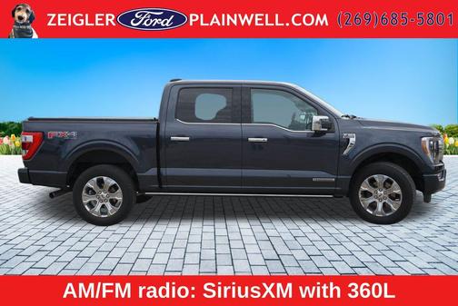 Smoked Quartz Metallic Tinted Clearcoat 2021 Ford F-150 Platinum