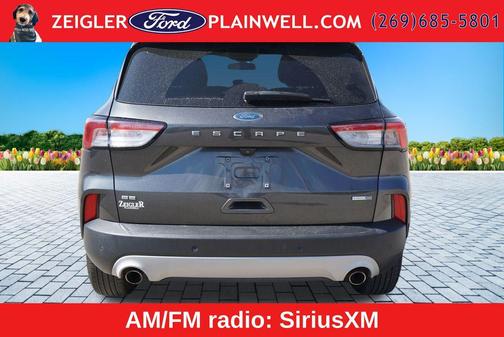 Magnetic 2020 Ford Escape SE