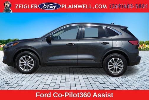 Magnetic 2020 Ford Escape SE