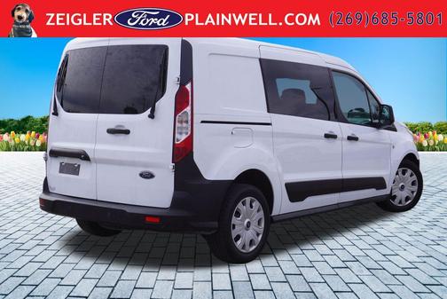 Frozen White 2019 Ford Transit Connect XL