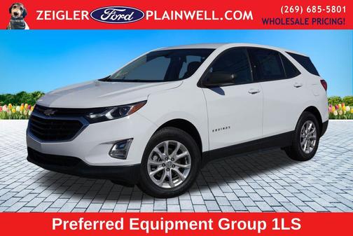 Summit White 2019 Chevrolet Equinox LS