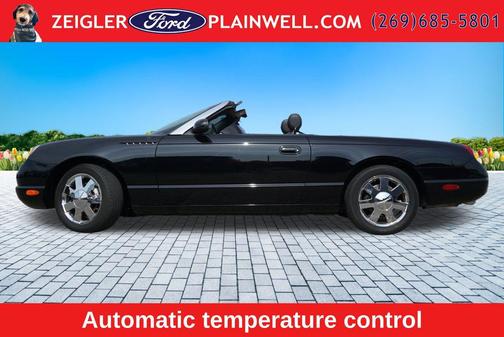 Evening Black 2002 Ford Thunderbird Base