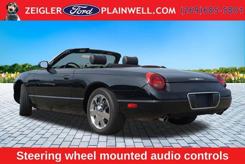 Evening Black 2002 Ford Thunderbird Base