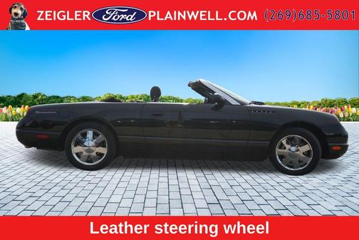 Evening Black 2002 Ford Thunderbird Base