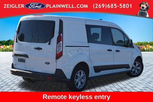 Frozen White 2015 Ford Transit Connect XLT