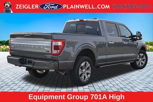 Gray Metallic 2022 Ford F-150 Platinum