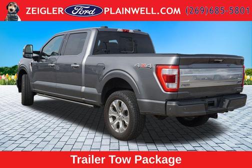 Gray Metallic 2022 Ford F-150 Platinum