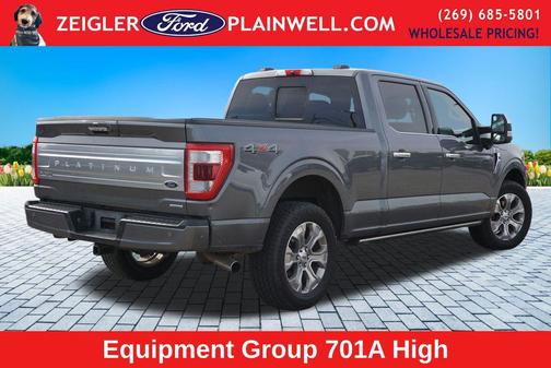 Gray Metallic 2022 Ford F-150 Platinum
