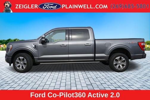 Gray Metallic 2022 Ford F-150 Platinum