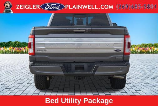 Gray Metallic 2022 Ford F-150 Platinum