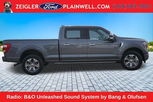 Gray Metallic 2022 Ford F-150 Platinum