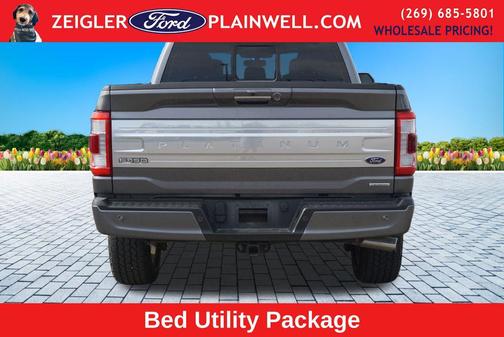 Gray Metallic 2022 Ford F-150 Platinum