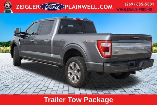 Gray Metallic 2022 Ford F-150 Platinum