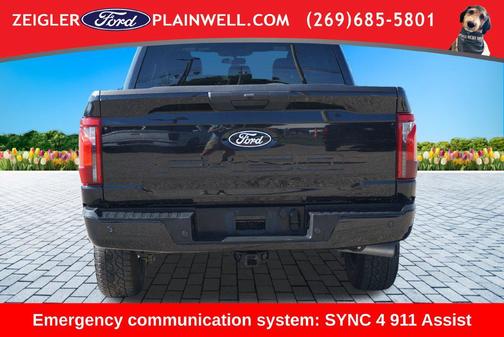 Agate Black Metallic 2025 Ford F-150 XLT