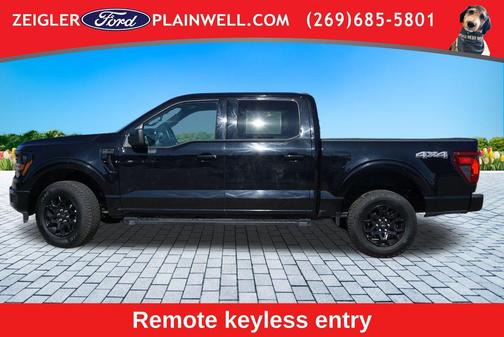 Agate Black Metallic 2025 Ford F-150 XLT