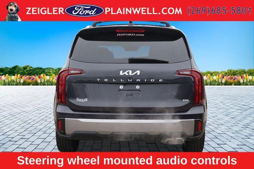 Panthera Metal 2025 Kia Telluride S