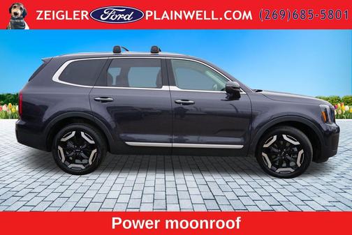 Panthera Metal 2025 Kia Telluride S