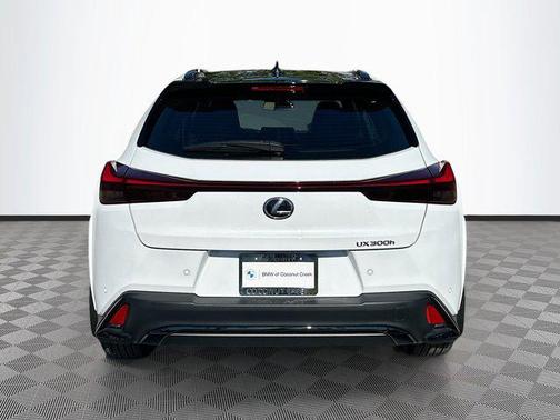 2025 Lexus UX 300h F SPORT Design