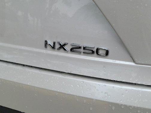 2023 Lexus NX 250 Base