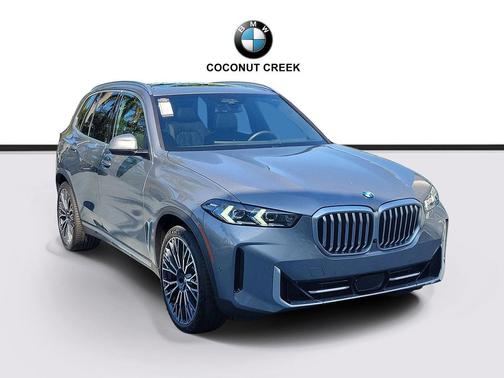 Skyscraper Grey Metallic 2024 BMW X5 sDrive40i