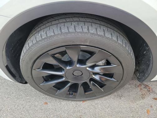Pearl White Multi-Coat 2025 Tesla Model Y Long Range Dual Motor All-Wheel Drive