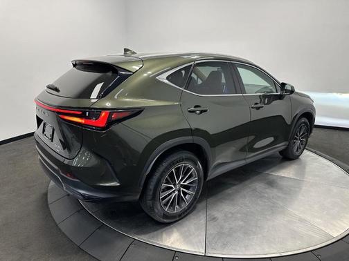 Nori Green Pearl 2023 Lexus NX 350 Premium
