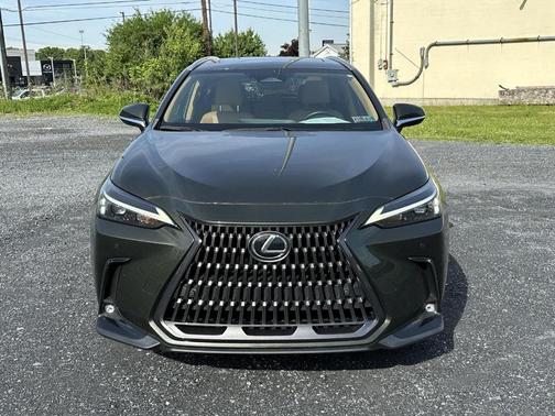 Nori Green Pearl 2023 Lexus NX 350 Premium