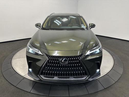 Nori Green Pearl 2023 Lexus NX 350 Premium