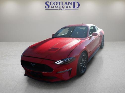 RED 2022 Ford Mustang EcoBoost