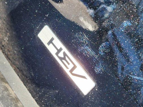2025 Kia Carnival Hybrid SX