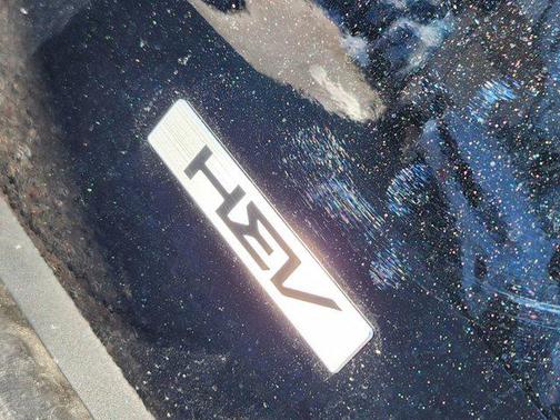 2025 Kia Carnival Hybrid SX