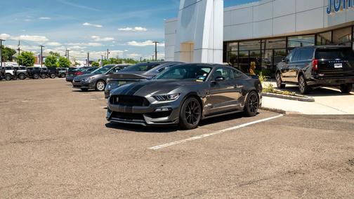 Magnetic Metallic 2019 Ford Shelby GT350 Base