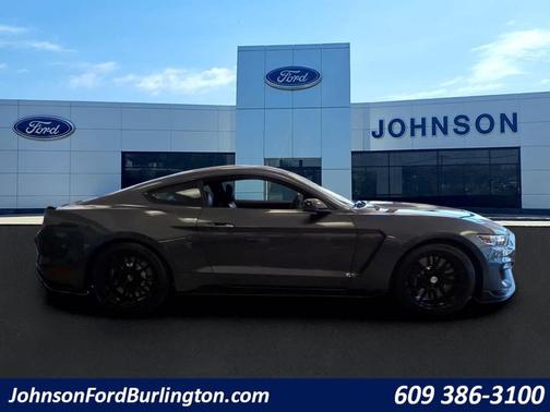 Magnetic Metallic 2019 Ford Shelby GT350 Base