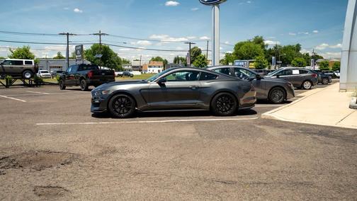 Magnetic Metallic 2019 Ford Shelby GT350 Base