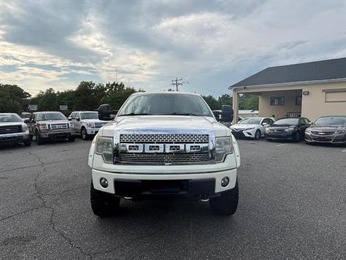2009 Ford F-150 Platinum