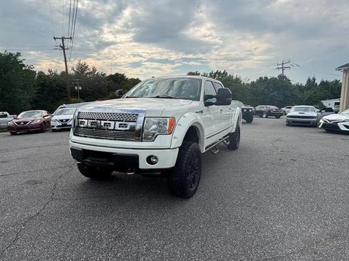 2009 Ford F-150 Platinum
