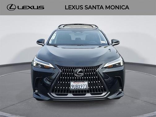 2025 Lexus NX 350h Premium