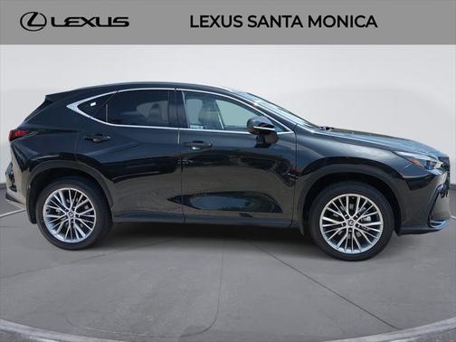 2025 Lexus NX 350h Premium