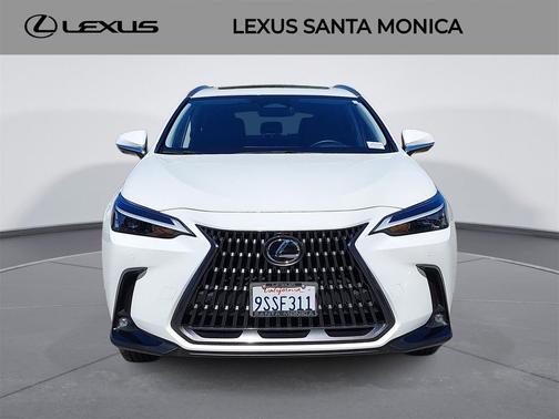 2025 Lexus NX 350h Premium