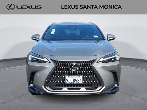 2024 Lexus NX 250 Base