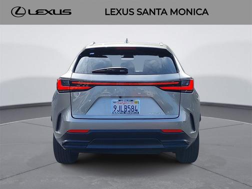 2024 Lexus NX 250 Base